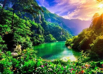 Image HDR d'un paysage naturel éclatant.