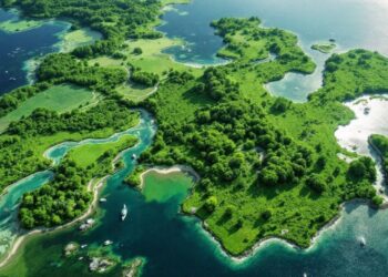 Vue aérienne des zones écologiques sensibles.