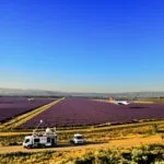 Deux avions au-dessus des lavandes de Valensole, dispositifs radar mobiles.