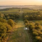 Petit drone volant au ras d’un tracé de gazoduc enherbé, entre vignes et bois, au soleil couchant