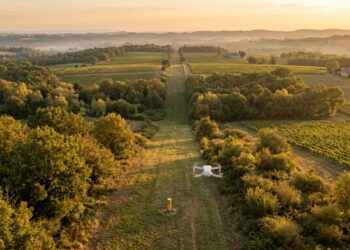 Petit drone volant au ras d’un tracé de gazoduc enherbé, entre vignes et bois, au soleil couchant