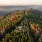 Drone survolant une forêt d’épicéas touchée par les scolytes au lever du jour