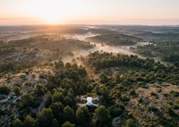 Vue aérienne d’une forêt de pins méditerranéens à l’aube, un petit drone blanc en vol au premier plan