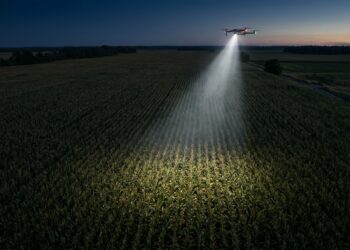 Drone muni d'un projecteur survolant un champ de maïs au crépuscule pendant une recherche (illustration)