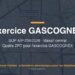 234/2026 — Exercice GASCOGNEX : quatre ZRT en altitude, dont une frôle les sommets de la Margeride
